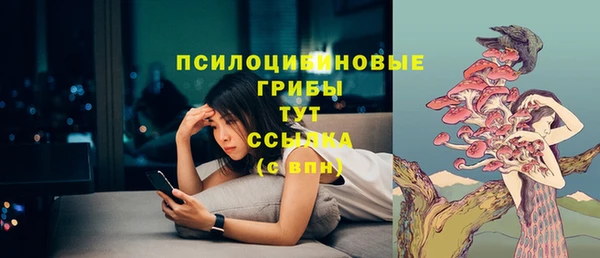 гашик Балахна